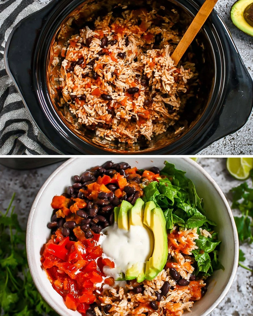 Rice Cooker Burrito Bowls 102 Rice Cooker Burrito Bowls